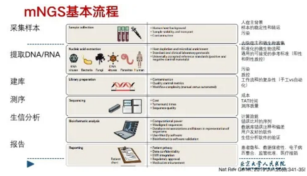 mNGS基本流程.png